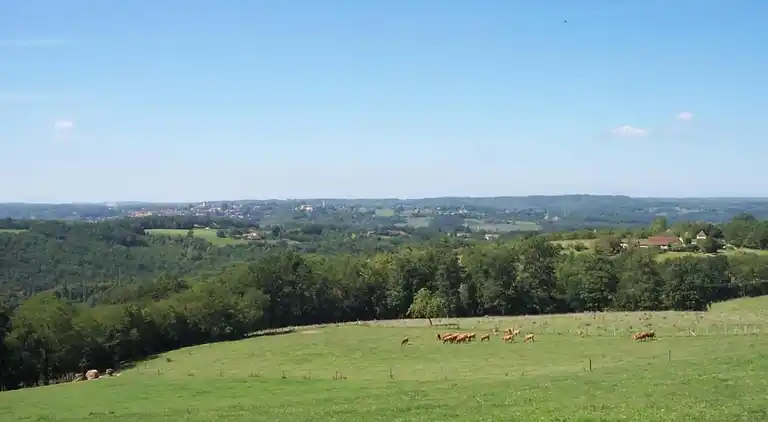 Holiday home in Saint-Cyprien