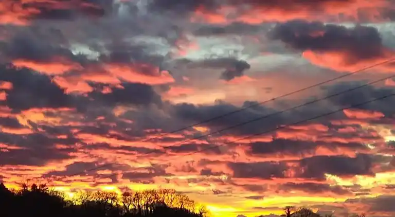 Holiday home in Saint-Cyprien