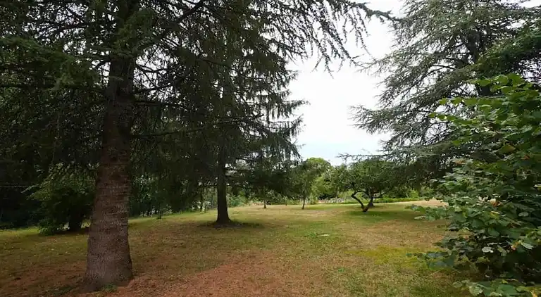 Holiday home in Saint-Cyprien