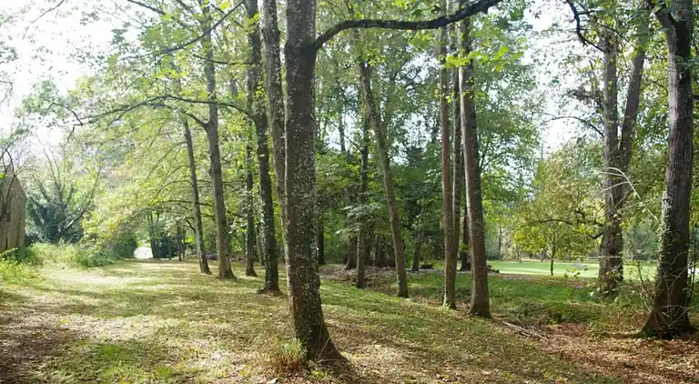 Holiday home in Saint-Cyprien