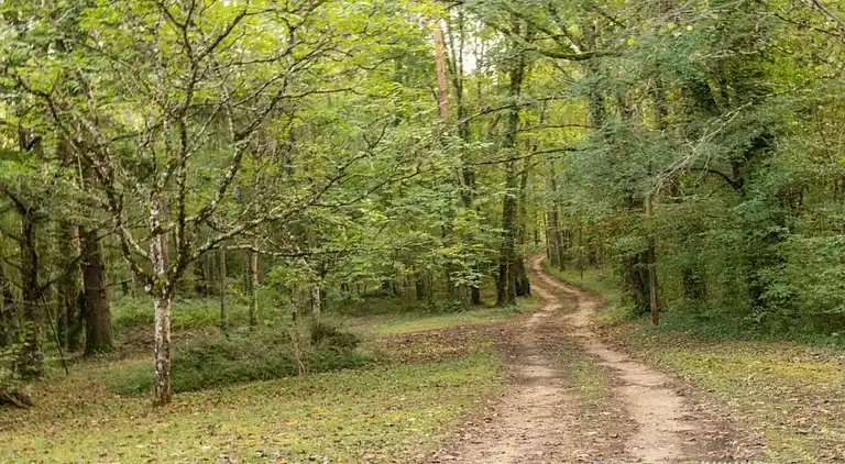 Holiday home in Loubejac