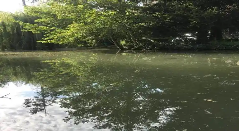 Holiday home in Loubejac