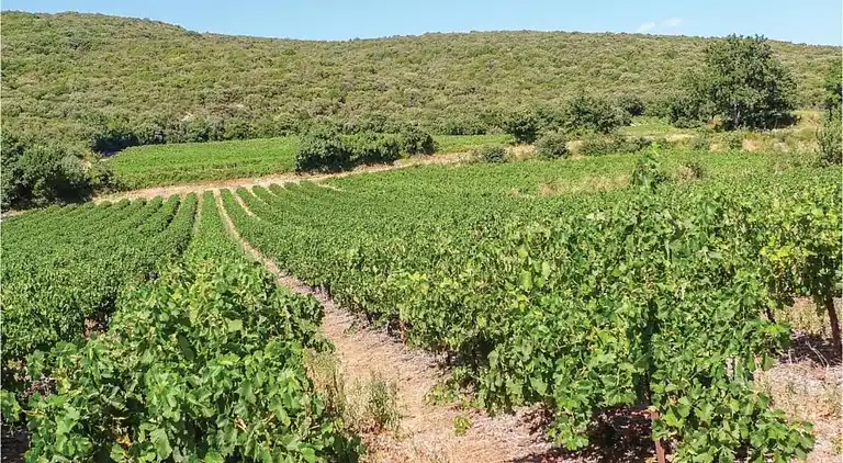 Ferielejlighed i Barjac