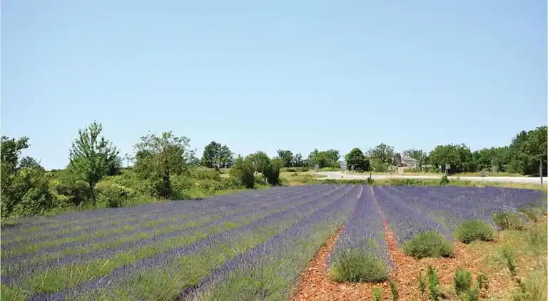 Ferielejlighed i Barjac