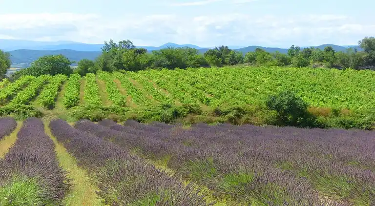 Ferielejlighed i Barjac