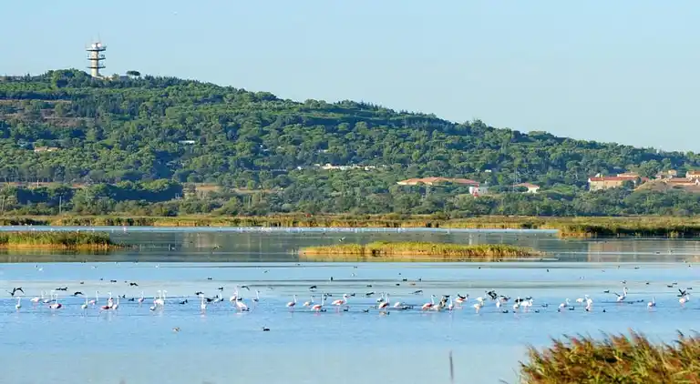 Ferienwohnung in Agde