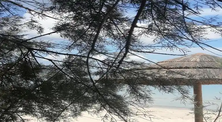 Sommerhus i Stintino