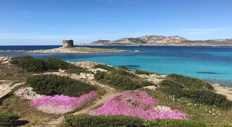 Sommerhus i Stintino