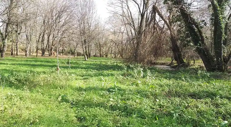 Holiday home in Covas