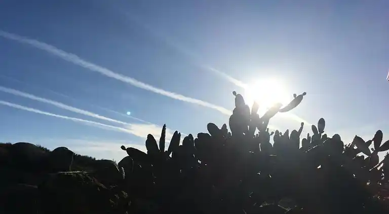 Holiday home in Covas