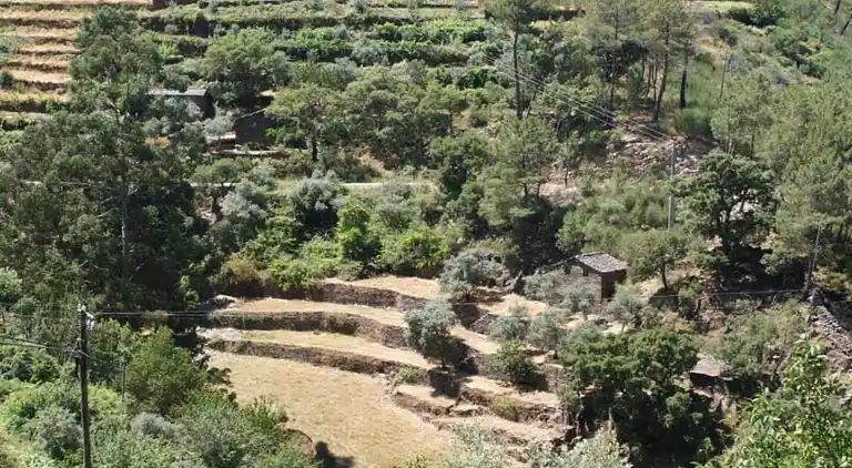 Holiday home in Covas