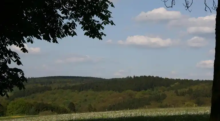 Vakantiehuis in Rahrbach