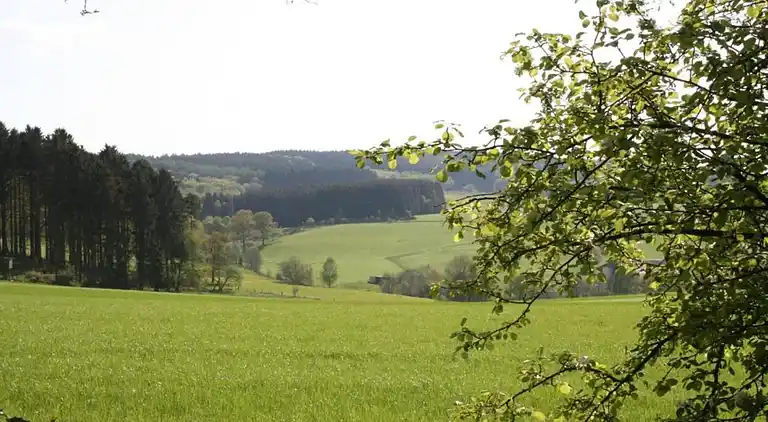 Vakantiehuis in Rahrbach