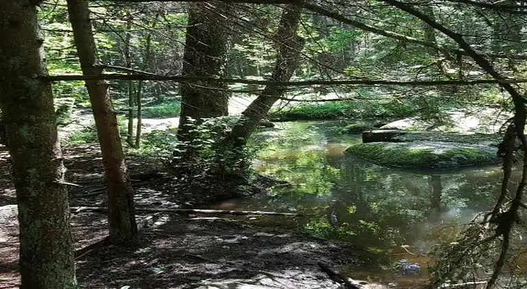 Holiday home in Neunburg