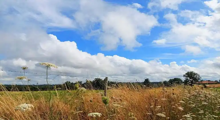 Sommerhus i Montembœuf