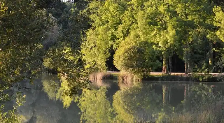 Holiday home in Loubejac