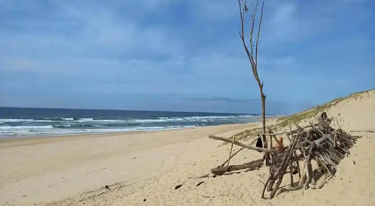 Apartment in Messanges