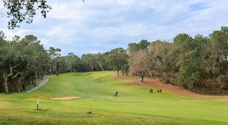 Apartment in Messanges