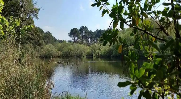 Apartment in Messanges