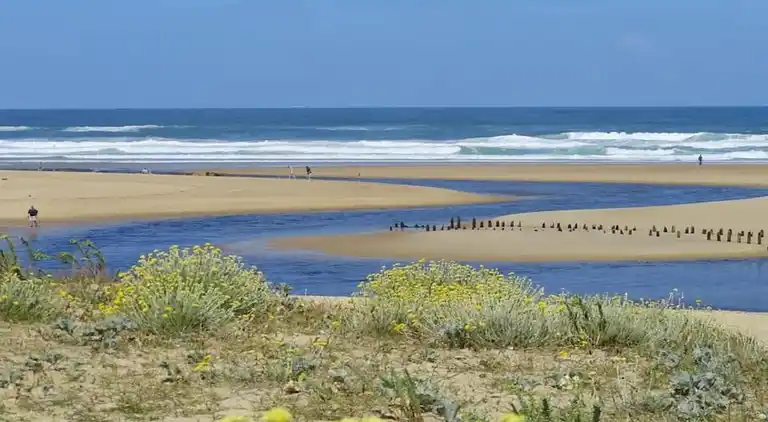 Apartment in Messanges