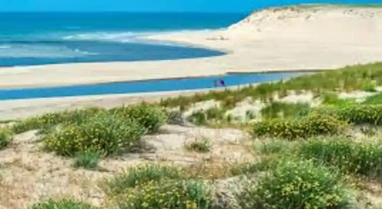 Apartment in Messanges