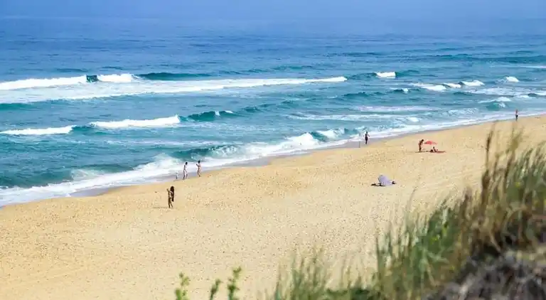 Apartment in Messanges