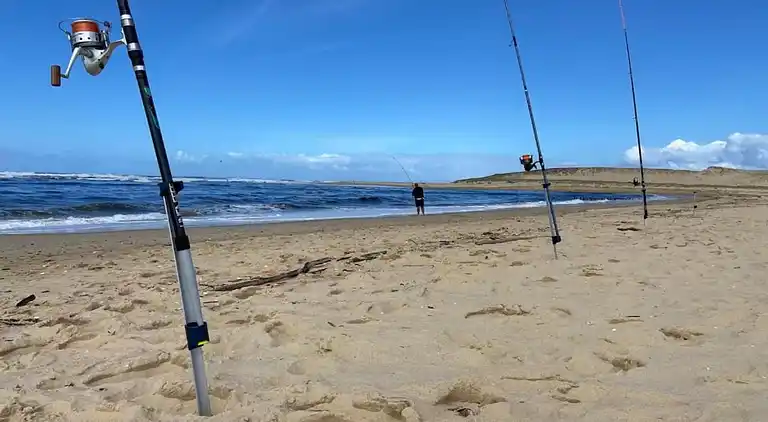 Apartment in Messanges