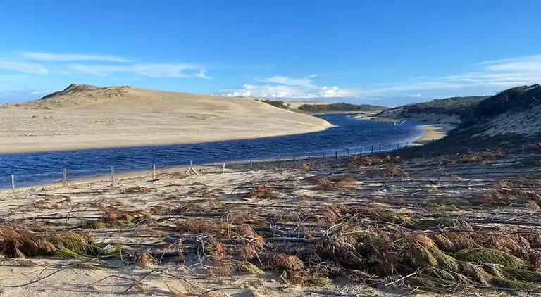 Apartment in Messanges