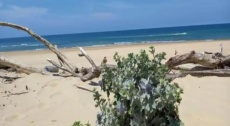 Apartment in Messanges