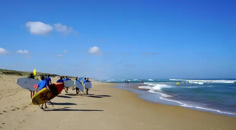 Apartment in Messanges