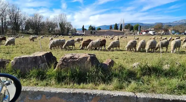 Apartamento en Fayence