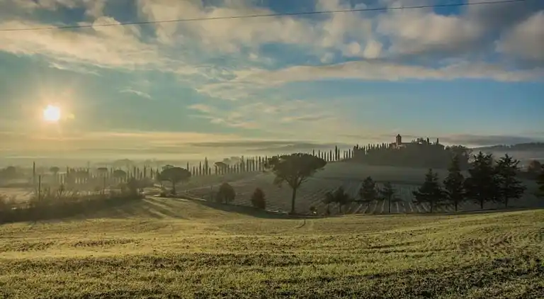 Farm house in Buonconvento