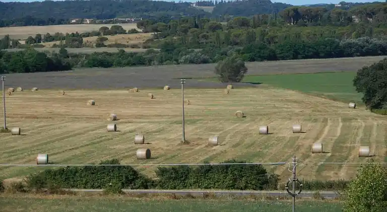 Farm house in Buonconvento