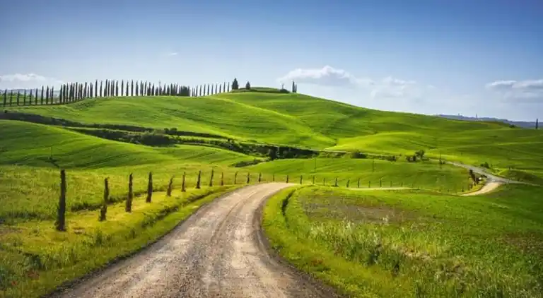 Farm house in Buonconvento