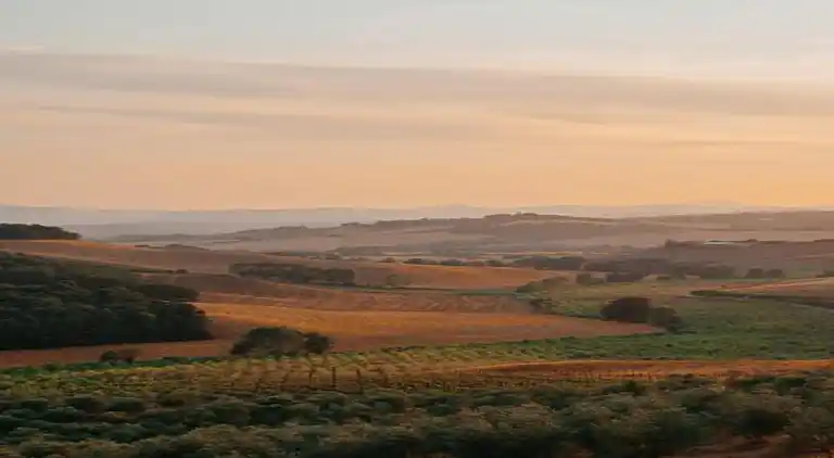 Farm house in Buonconvento