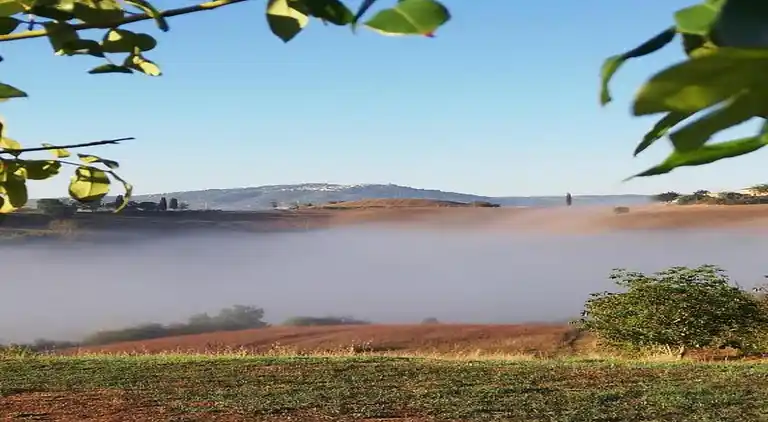 Farm house in Buonconvento