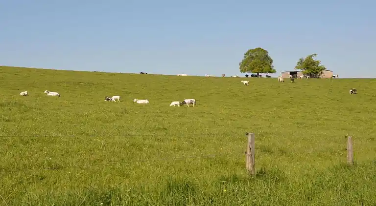 Holiday home in Chevron