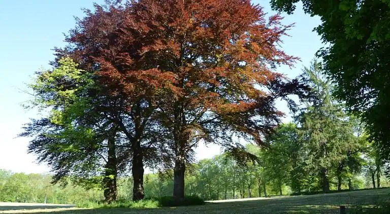 Holiday home in Chevron