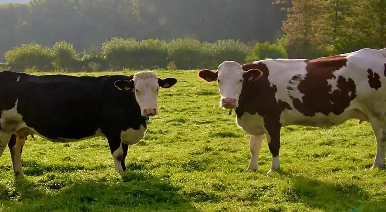 Holiday home in Chevron