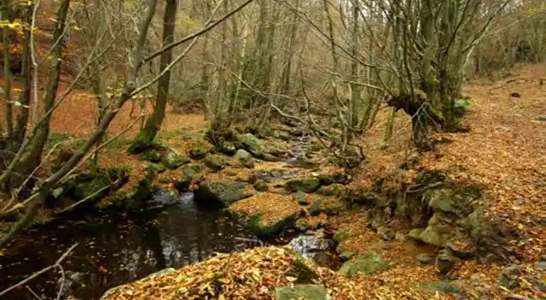 Holiday home in Chevron