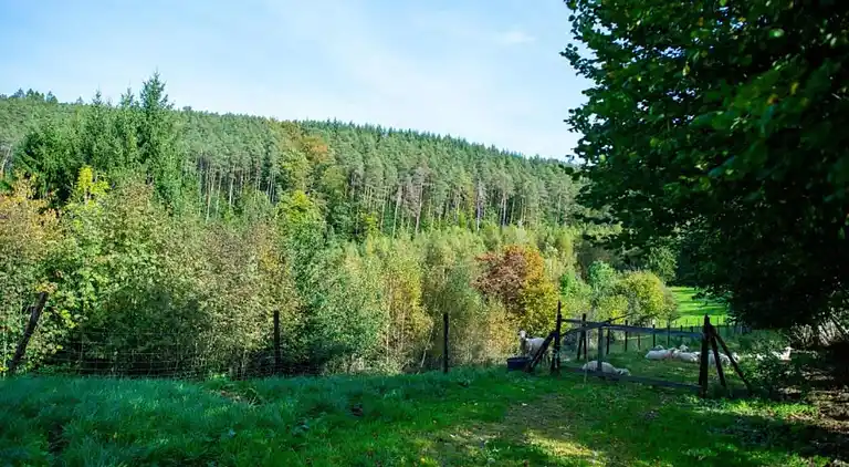Holiday home in Chevron
