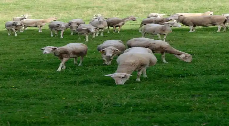 Holiday home in Chevron