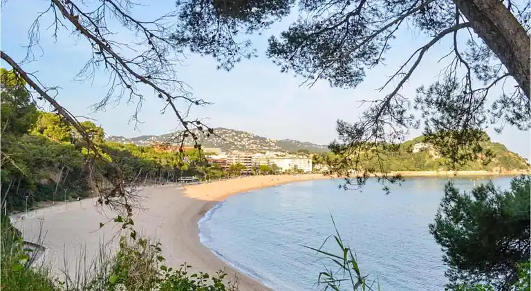 Apartment in Lloret de Mar