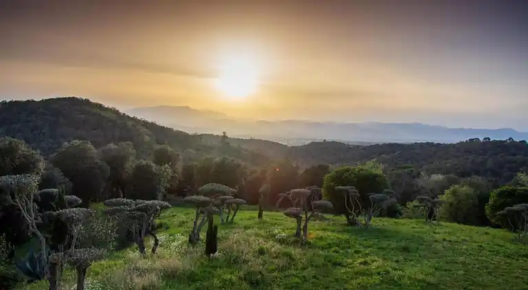 Apartamento en Lloret de Mar