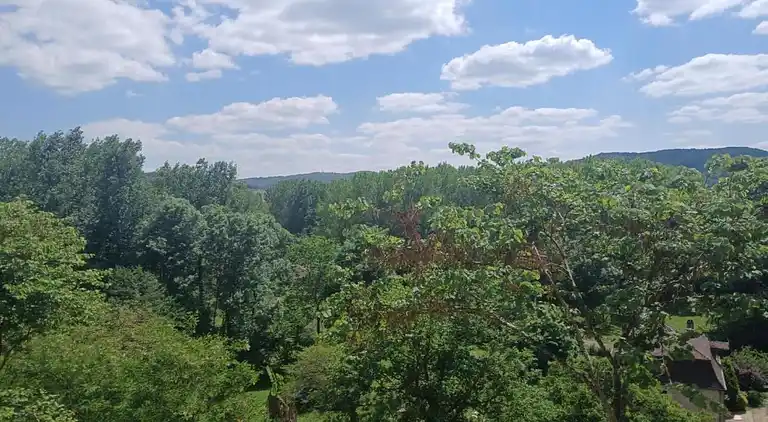 Cottage in Saint-Cyprien