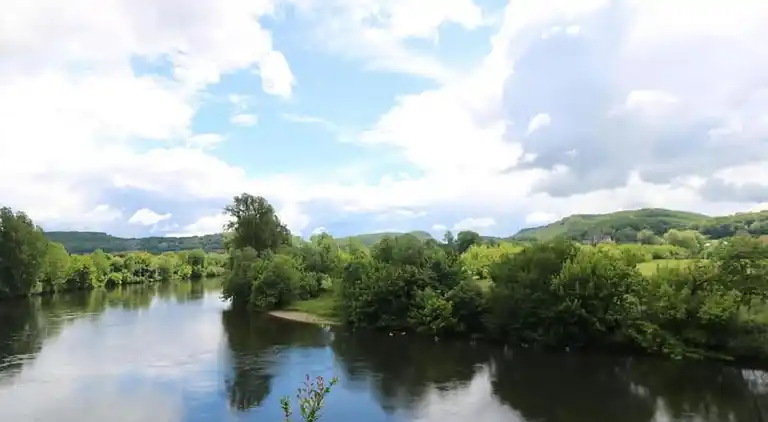 Cottage in Saint-Cyprien