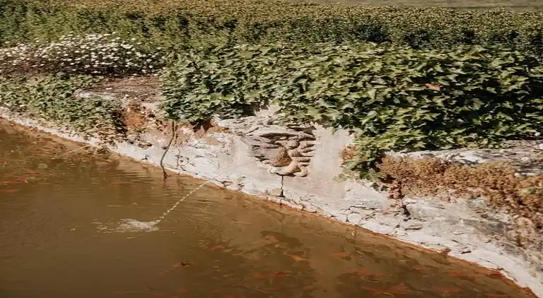 Cottage in Saint-Cyprien