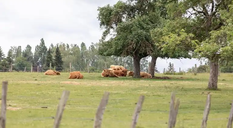 Holiday home in Niderviller