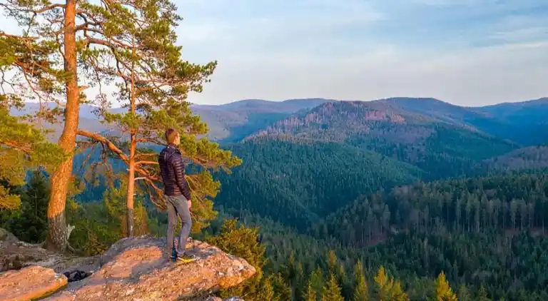 Holiday home in Niderviller