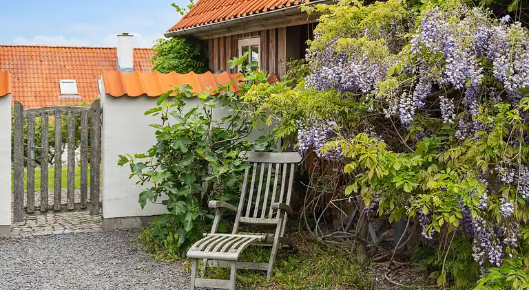 Luksus sommerhus med havudsigt